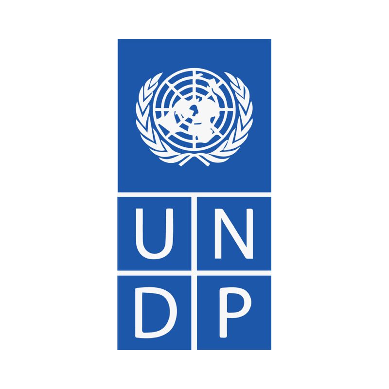برنامج الأمم المتحدة الإنمائي — UNDP